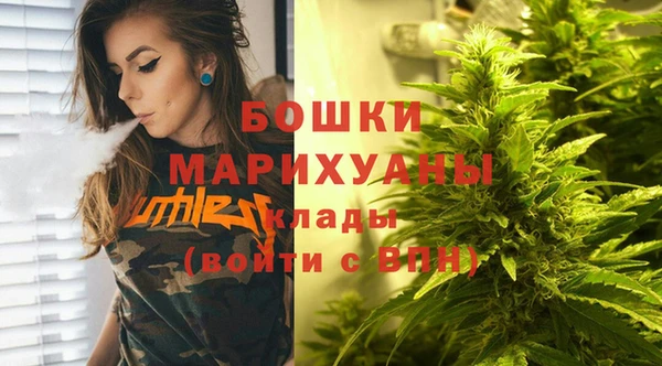 a pvp Белокуриха