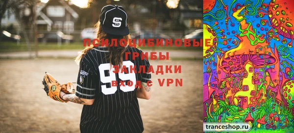 a pvp Белокуриха