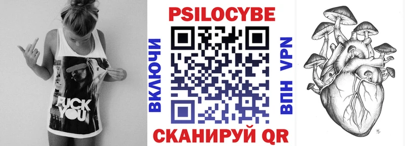 Галлюциногенные грибы Psilocybe купить наркотики сайты Уфа